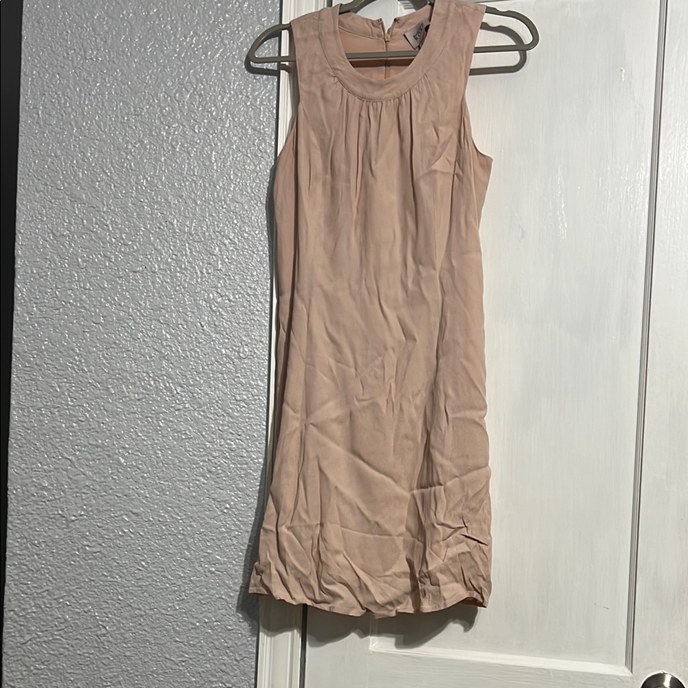 Elegant blush Sleeveless Dress